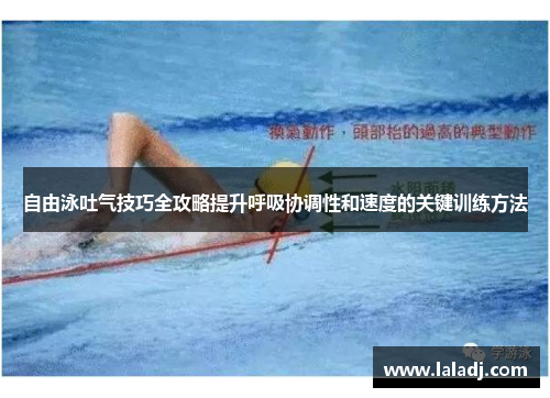 自由泳吐气技巧全攻略提升呼吸协调性和速度的关键训练方法